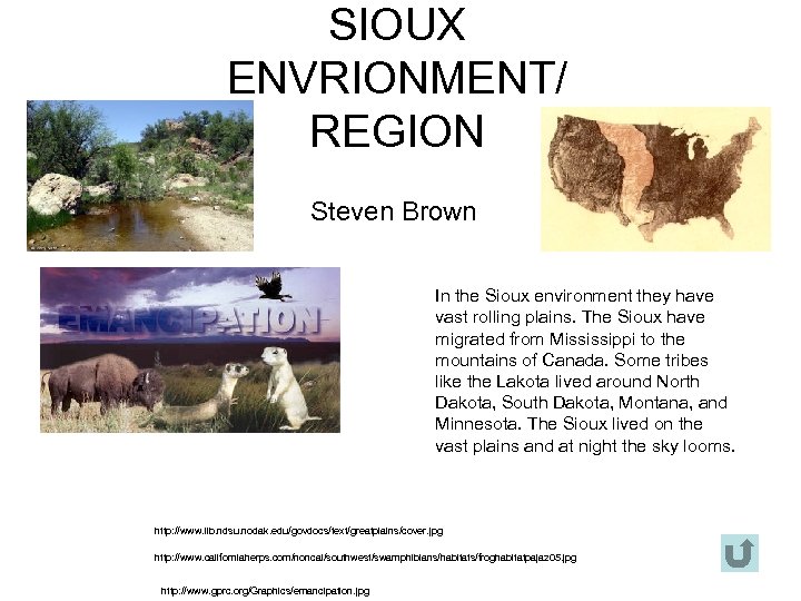 SIOUX ENVRIONMENT/ REGION Steven Brown In the Sioux environment they have vast rolling plains.