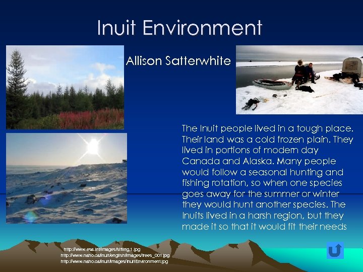 Inuit Environment Allison Satterwhite The Inuit people lived in a tough place. Their land