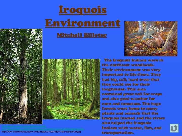 Iroquois Environment Mitchell Billeter http: //caxton. stockton. edu/bigger/picture$18 http: //www. artareas. com/Art. Areas/home. nsf/Item/NT