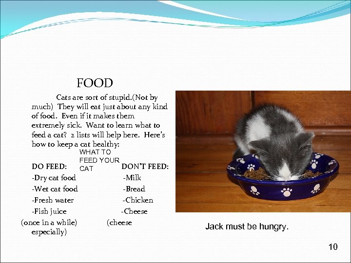 FOOD Cats are sort of stupid. (Not by much) They will eat just about