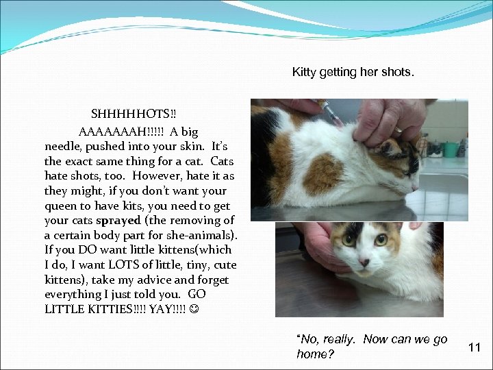 Kitty getting her shots. SHHHHHOTS!! AAAAAAAH!!!!! A big needle, pushed into your skin. It’s