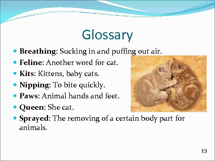 Glossary Breathing: Sucking in and puffing out air. Feline: Another word for cat. Kits: