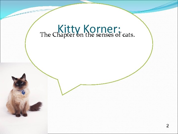 Kitty Korner: The Chapter on the senses of cats. 2 