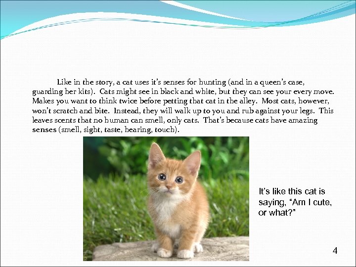 Like in the story, a cat uses it’s senses for hunting (and in a