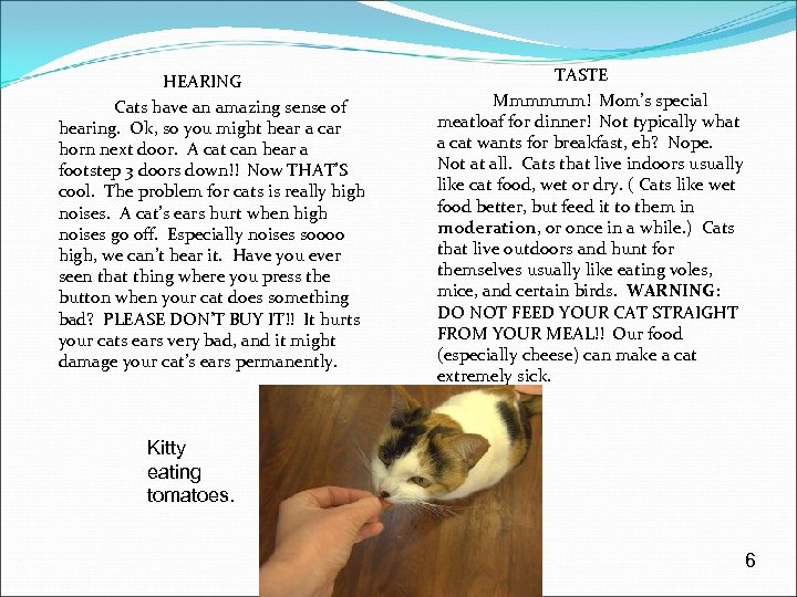 HEARING Cats have an amazing sense of hearing. Ok, so you might hear a