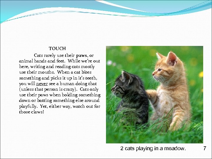 TOUCH Cats rarely use their paws, or animal hands and feet. While we’re out