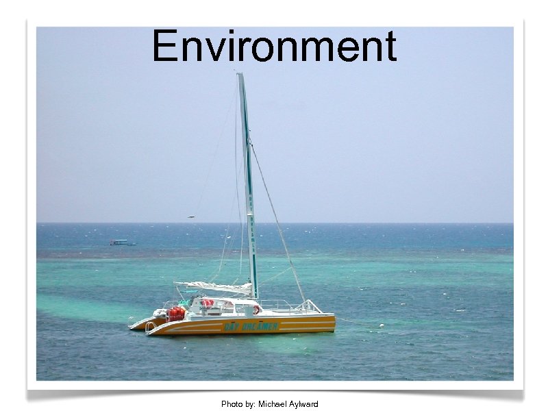 Environment Photo by: Michael Aylward 