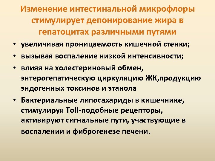 Изменение интестинальной микрофлоры стимулирует депонирование жира в гепатоцитах различными путями • увеличивая проницаемость кишечной