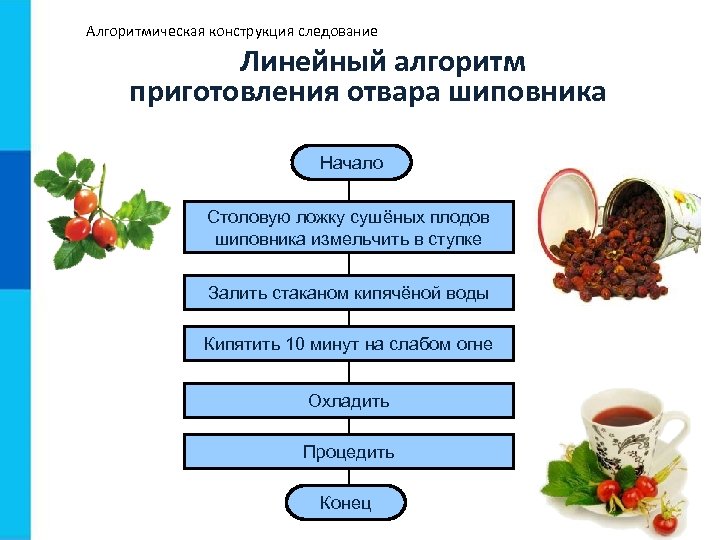 Алгоритмическая конструкция следование Линейный алгоритм приготовления отвара шиповника Начало Столовую ложку сушёных плодов шиповника