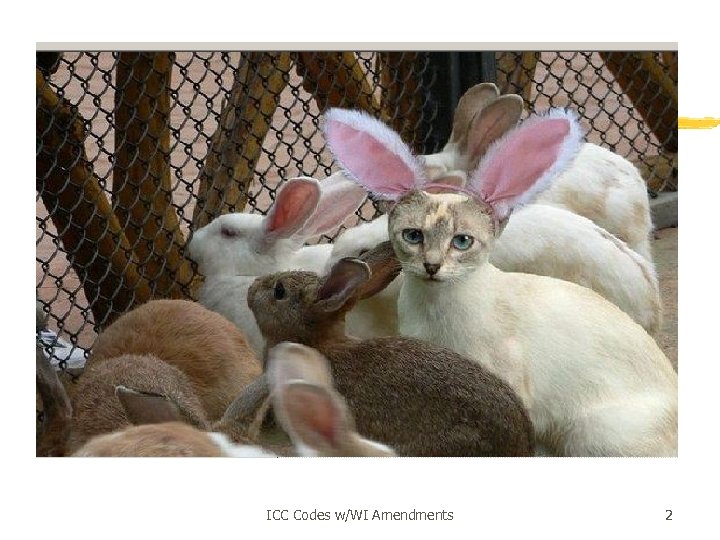 ICC Codes w/WI Amendments 2 