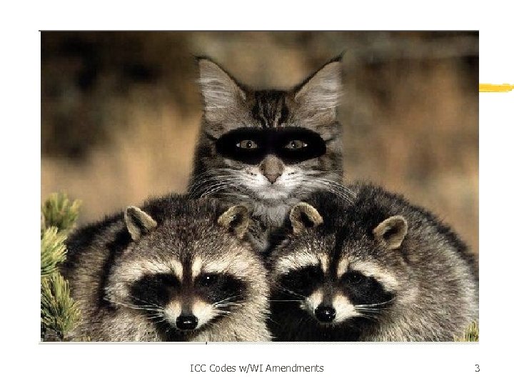 ICC Codes w/WI Amendments 3 