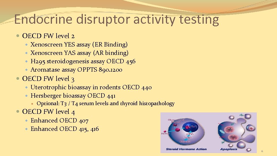 Endocrine disruptor activity testing OECD FW level 2 Xenoscreen YES assay (ER Binding) Xenoscreen