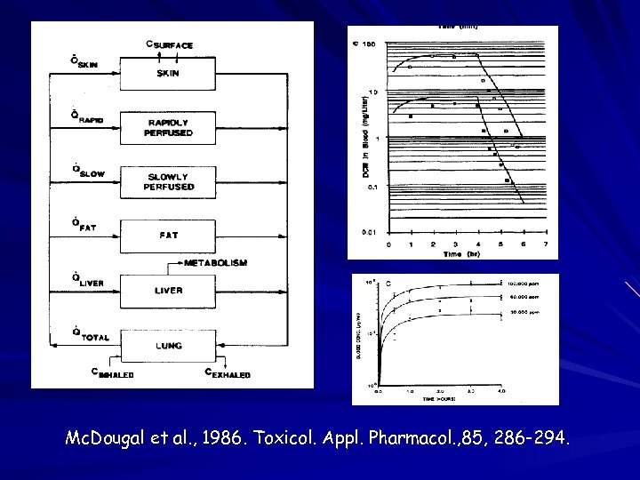 Mc. Dougal et al. , 1986. Toxicol. Appl. Pharmacol. , 85, 286 -294. 