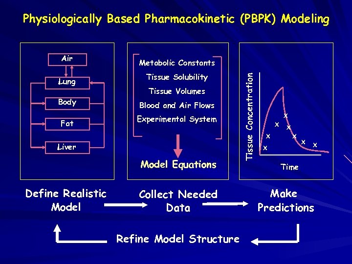 Physiologically Based Pharmacokinetic (PBPK) Modeling Lung Body Fat Metabolic Constants Tissue Solubility Tissue Volumes