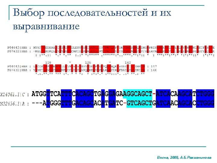 Выбор последовательностей и их выравнивание Весна, 2008, А. Б. Рахманинова 