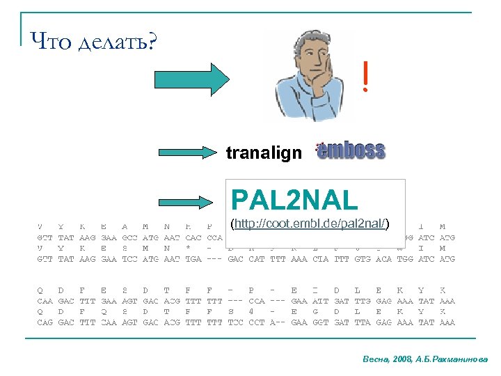 Что делать? ! tranalign PAL 2 NAL (http: //coot. embl. de/pal 2 nal/) Весна,