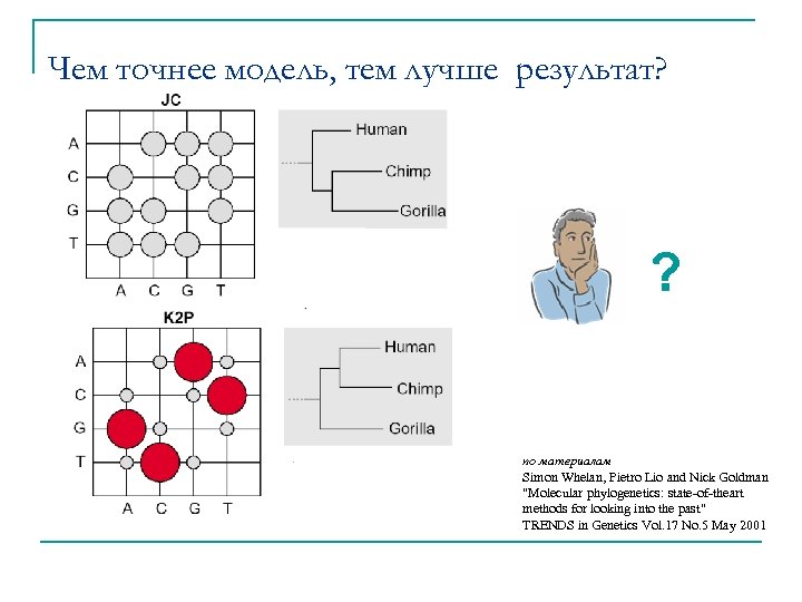 Чем точнее модель, тем лучше результат? ? по материалам Simon Whelan, Pietro Lio and