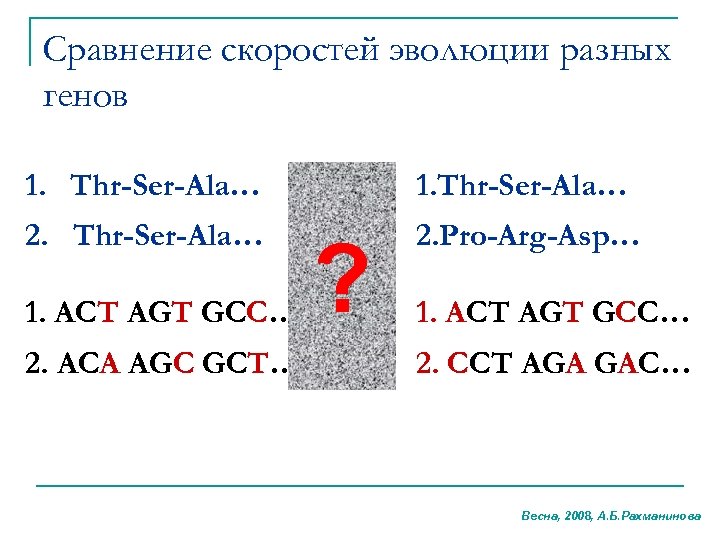 Сравнение скоростей эволюции разных генов 1. Thr-Ser-Ala… 2. Pro-Arg-Asp… 1. ACT AGT GCC… 2.