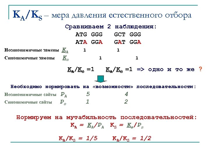 KA/KS – мера давления естественного отбора Несинонимичные замены Сравниваем 2 наблюдения: ATG GGG GCT