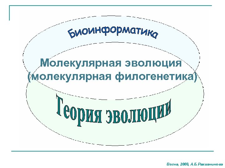 Молекулярная эволюция (молекулярная филогенетика) Весна, 2008, А. Б. Рахманинова 