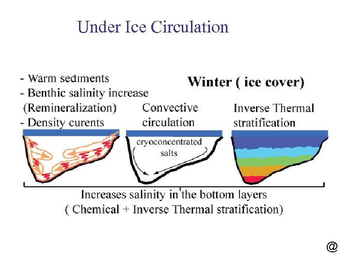 Under Ice Circulation @ 