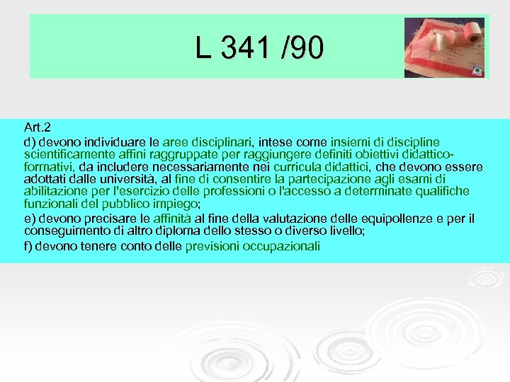 L 341 /90 Art. 2 d) devono individuare le aree disciplinari, intese come insiemi