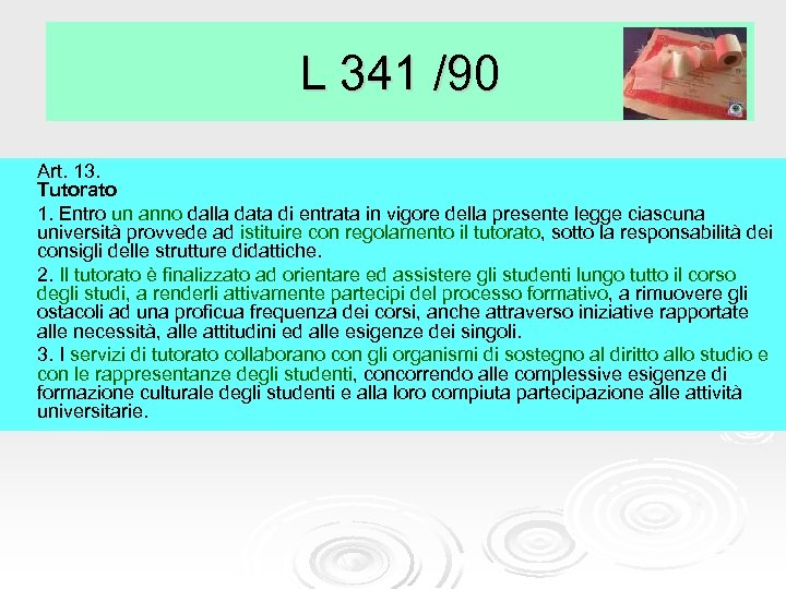 L 341 /90 Art. 13. Tutorato 1. Entro un anno dalla data di entrata