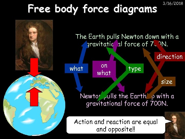 Free body force diagrams 3/16/2018 The Earth pulls Newton down with a gravitational force