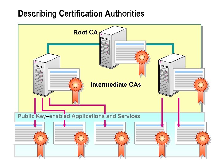 Describing Certification Authorities Root CA Intermediate CAs Public Key–enabled Applications and Services 