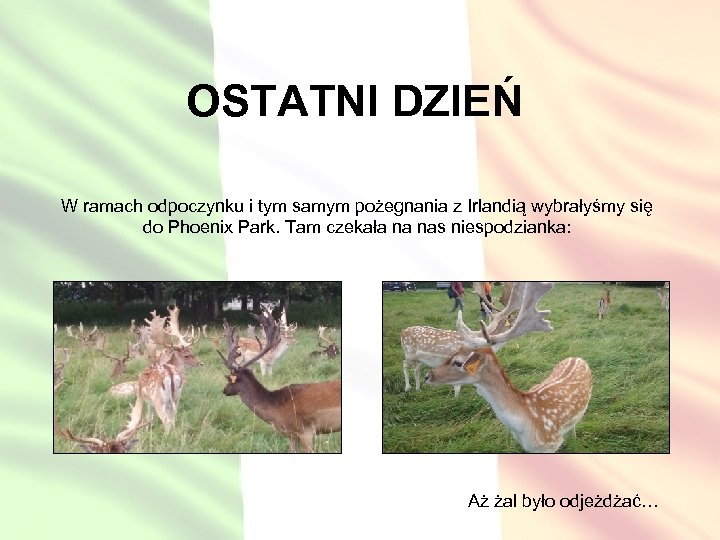 OSTATNI DZIEŃ W ramach odpoczynku i tym samym pożegnania z Irlandią wybrałyśmy się do