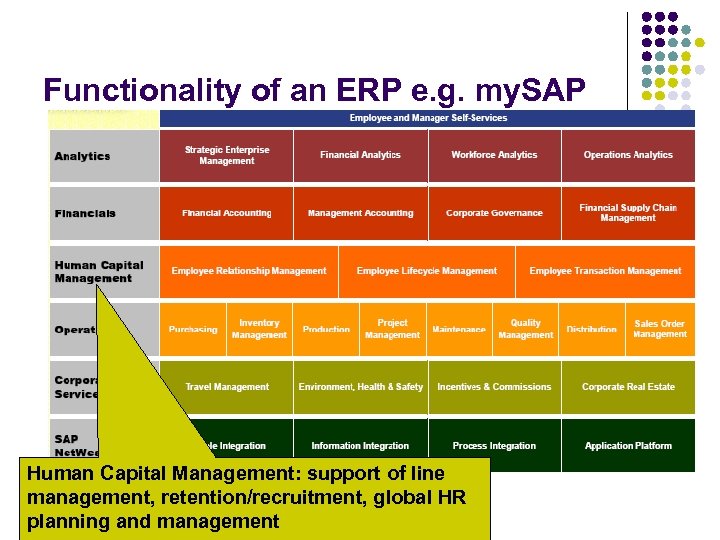Functionality of an ERP e. g. my. SAP Human Capital Management: support of line