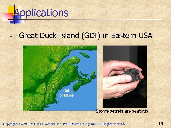 Applications • Great Duck Island (GDI) in Eastern USA Storm-petrels are seabirds Copyright ©