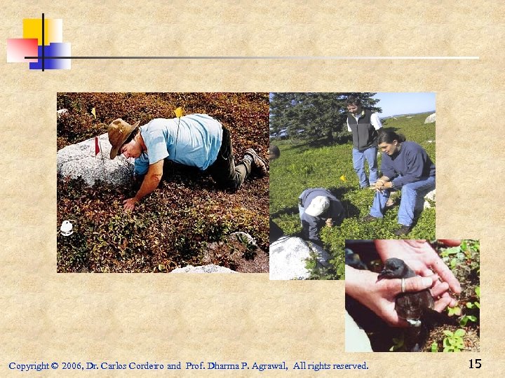 Copyright © 2006, Dr. Carlos Cordeiro and Prof. Dharma P. Agrawal, All rights reserved.