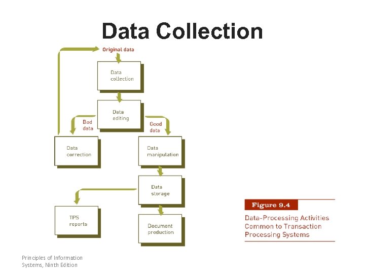 Data Collection Principles of Information Systems, Ninth Edition 