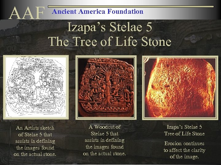 AAF Ancient America Foundation Izapa’s Stelae 5 The Tree of Life Stone An Artists