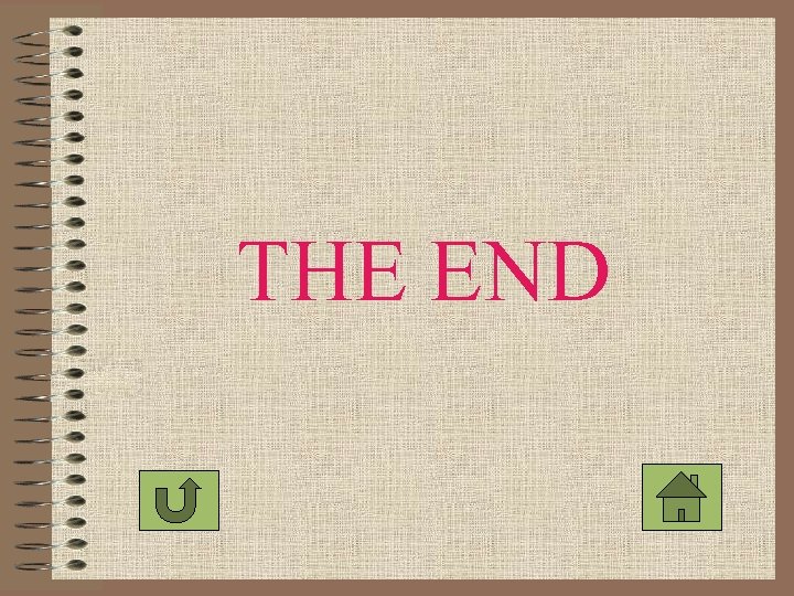 THE END 