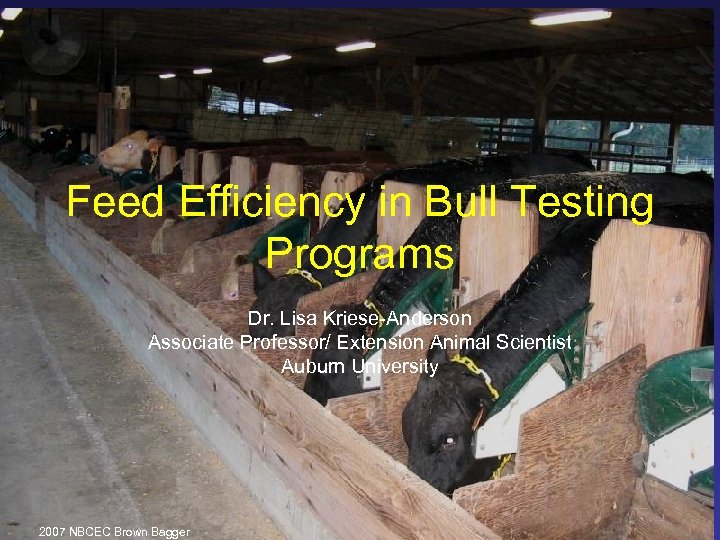 Feed Efficiency in Bull Testing Programs Dr. Lisa Kriese-Anderson Associate Professor/ Extension Animal Scientist