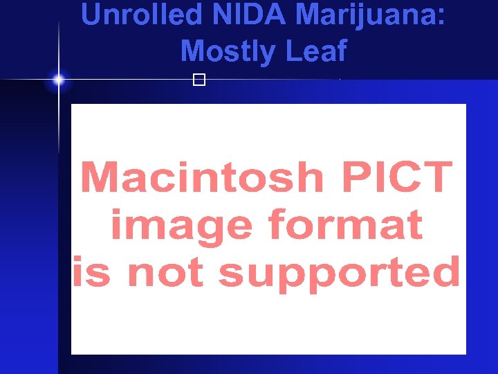 Unrolled NIDA Marijuana: Mostly Leaf 