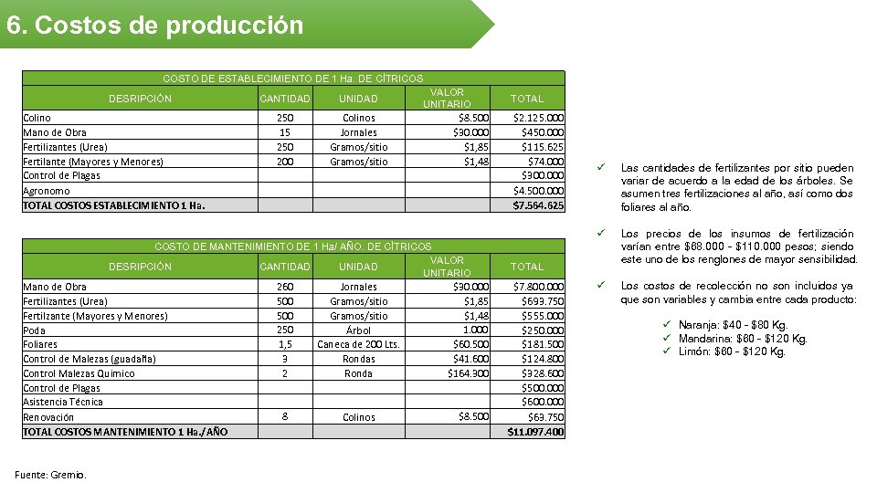 6. Costos de producción COSTO DE ESTABLECIMIENTO DE 1 Ha. DE CÍTRICOS DESRIPCIÓN Colino