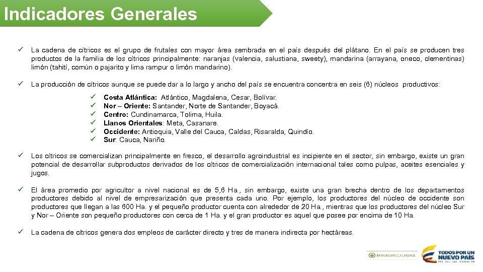 Indicadores Generales ü La cadena de cítricos es el grupo de frutales con mayor