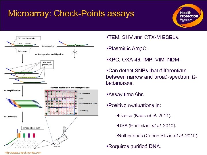 Microarray: Check-Points assays TEM, SHV and CTX-M ESBLs. Plasmidic Amp. C. KPC, OXA-48, IMP,