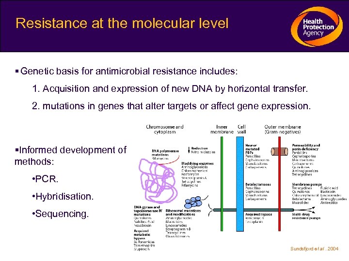Resistance at the molecular level Genetic basis for antimicrobial resistance includes: 1. Acquisition and