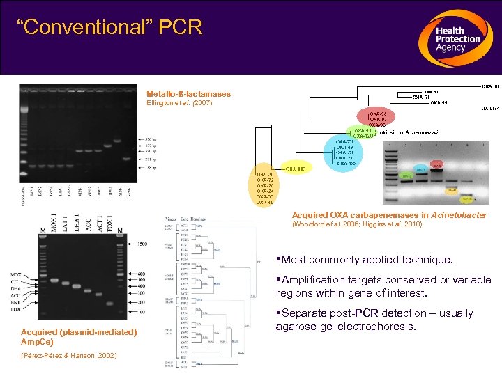 “Conventional” PCR Metallo-ß-lactamases Ellington et al. (2007) } Intrinsic to A. baumannii Acquired OXA