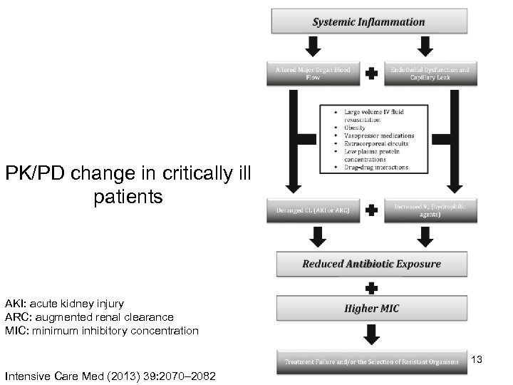 PK/PD change in critically ill patients AKI: acute kidney injury ARC: augmented renal clearance