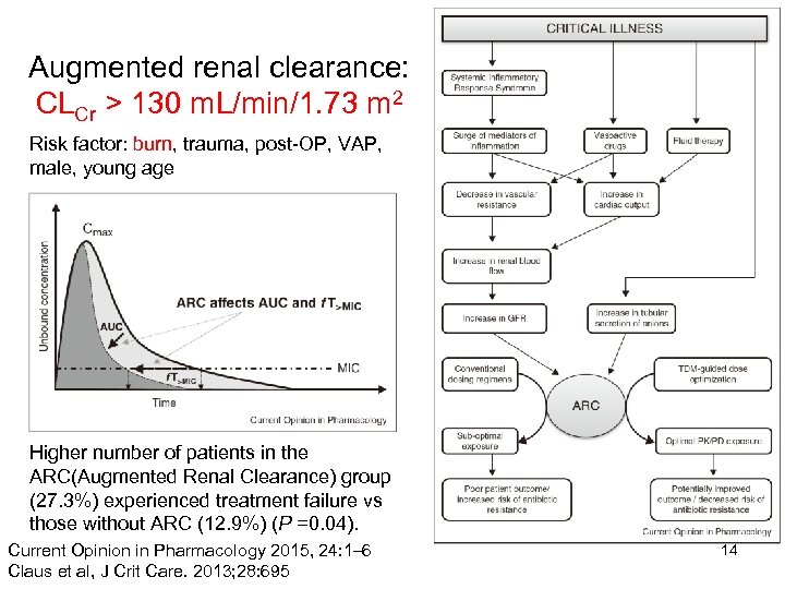 Augmented renal clearance: CLCr > 130 m. L/min/1. 73 m 2 Risk factor: burn,