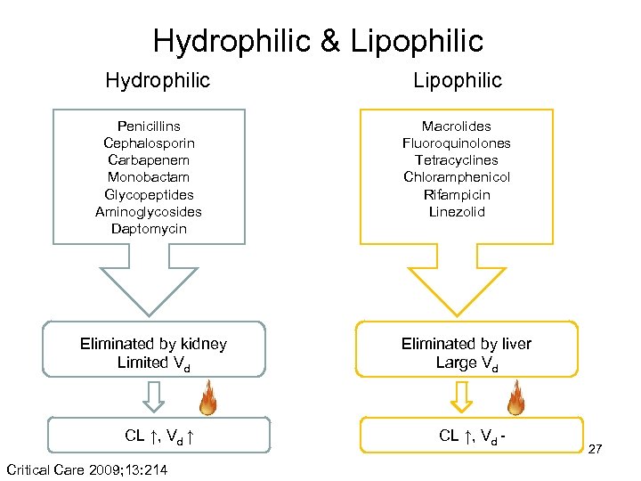 Hydrophilic & Lipophilic Hydrophilic Penicillins Cephalosporin Carbapenem Monobactam Glycopeptides Aminoglycosides Daptomycin Eliminated by kidney