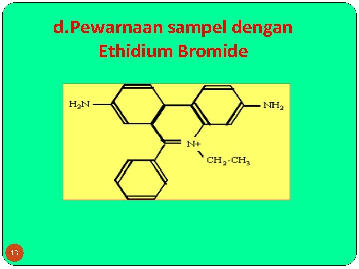 d. Pewarnaan sampel dengan Ethidium Bromide 13 