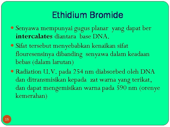 Ethidium Bromide Senyawa mempunyai gugus planar yang dapat ber intercalates diantara base DNA. Sifat