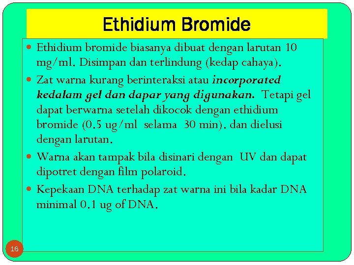 Ethidium Bromide Ethidium bromide biasanya dibuat dengan larutan 10 mg/ml. Disimpan dan terlindung (kedap
