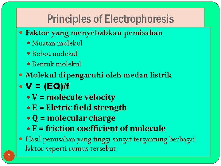 Principles of Electrophoresis Faktor yang menyebabkan pemisahan Muatan molekul Bobot molekul Bentuk molekul Molekul